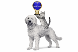 LABELS D’EXCELLENCE 2025 POUR GPM CHIEN&CHAT